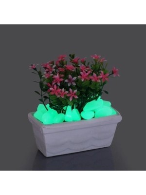 Najmaddin Fosforlu Çakıl Taşları