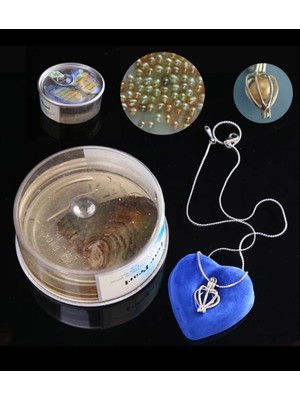 UltraMint Içinde Gerçek Inci Kadın Kolye, Sevgiliye Özel Hediye, Şık Takı