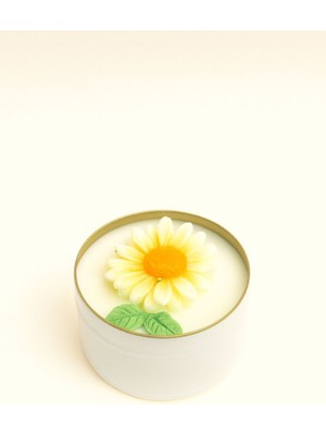 UltraMint El Yapımı Papatyalı Soya Mum ile Romantik ve Şık Ev Dekoru