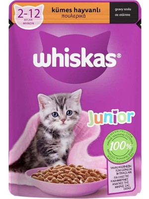 Delixa Kümes Hayvanlı Yavru Kedi Yaş Mama 85 G Tekli Paket