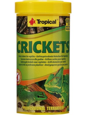 Delixa Tropical Crickets Kurutulmuş Balık Yemi 250ML 25GR