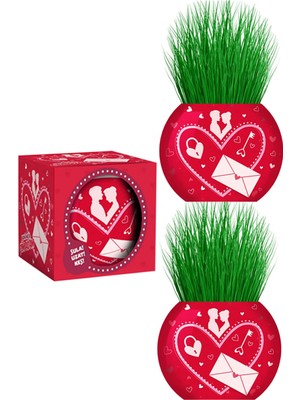 UltraMint Sevgiliye Özel 3 Adet Çim Adam Aşk Temalı Hediye Seti