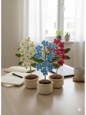 UltraMint El Örgüsü Saksıda Çiçek 3’lü Set, Sevgi ve Kutlama Hediyesi