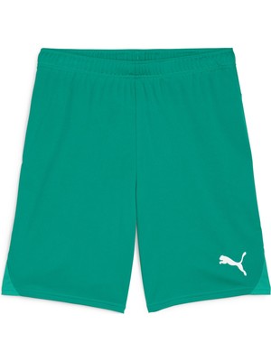 Puma Teamgoal Football Erkek Şort