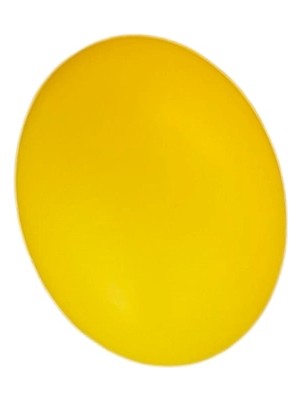 Eco Port Evcil Hayvan Oyun Topu