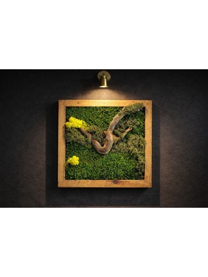 Doğal Yosun Tablosu