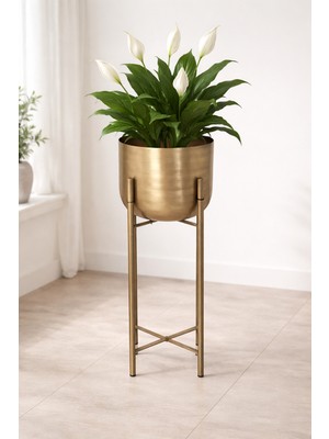 Valda Home 60 CM ÇAP 25 CM GOLD ESKİTME SAKSILIK