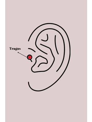 Vice Avm 316L Çelik Gümüş Renk Zirkon Taşlı Tragus Piercing - TJ-PR1349 TG-V 7603