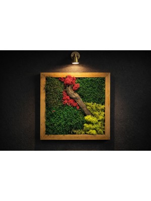 Doğal Yosun Tablosu