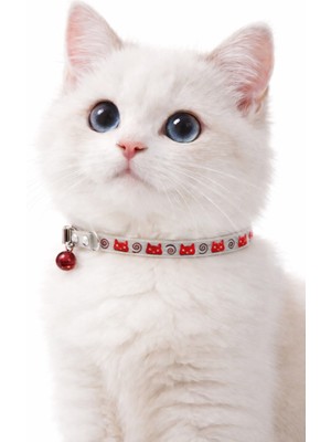 PHENORA Fosforlu Çıngıraklı Kedi Tasması | Gece Parlayan Şık Kedi Kolyesi Aksesuarı