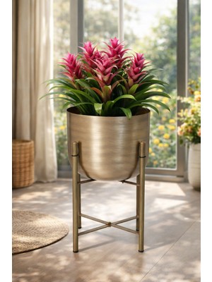 Valda 45 cm Metal Gold Eskitme Saksılık Çap 25 cm