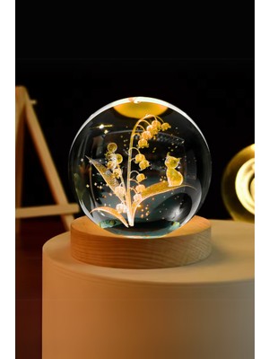 PremiumPort Küçük Boy Dekoratif Kedi ve Çiçek Motifli Işıklı Kar Küresi