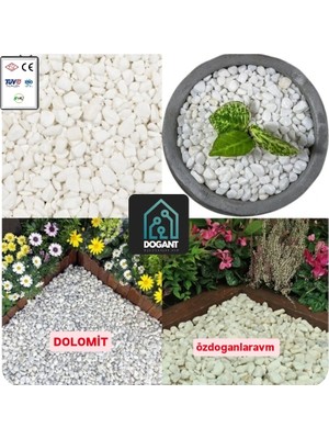 Dogant Beyaz Dolomit Taş 2 kg