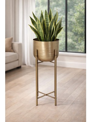 60 cm Boy Eskitme Gold Çap 20 cm Saksılık