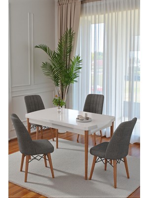 Kaktüs Avm 70X110 cm Mutfak Masası Takımı | 4 Kişilik Sabit Masa Sandalye Takımı | Yemek Masası | Masa Takımı - Beyaz Masa - Antrasit