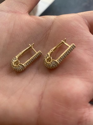 Çelik Kadın 14 K Taşlı Çengelli Iğne Küpe