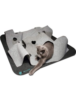 Delixa Bypet Cathills Interaktif Kedi Tepeleri Oyun Alanı ve Saklanma Tüneli