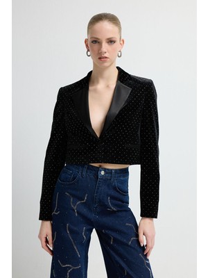 Adl Taşlı Kadife Ceket Siyah 11946007000