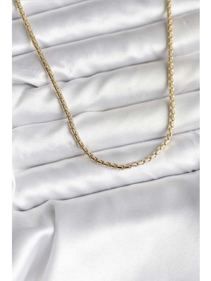 Nuveden 14K Gold Renk Kaplama Zincir Model cm Kadın Kolye - TJ-BKO10742 DIE-RSTG34