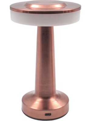 DS LLC Dokunmatik Şarjlı Masa Lambası PS232 Iegtgrs-34