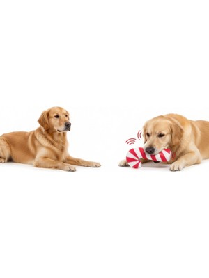 NessiWorld Sesli Baston Şeker Oyuncak