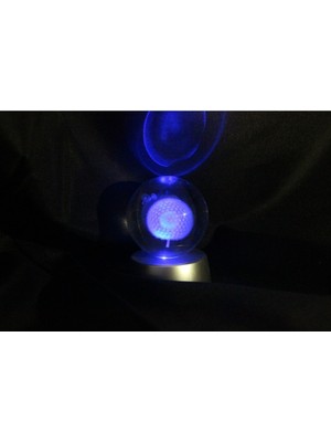 PremiumPort Işıklı Karahindiba ve Papatya Saksısı, Kırılmaz Cam Küre