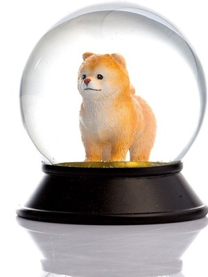 PremiumPort Cam ve Reçine Altın Patili Pomeranian Köpek Kar Küresi