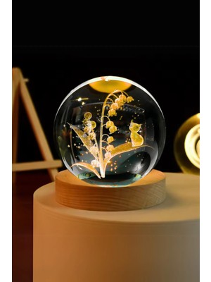 PremiumPort Işıklı Ahşap Kedi Figürlü Cam Küre, Kişiye Özel Tasarım 8X6CM