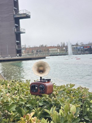 PremiumPort El Yapımı Müzik Kutusu, Sevgi Dolu Hediye, Özel Anlar Için Müzikli Dekor