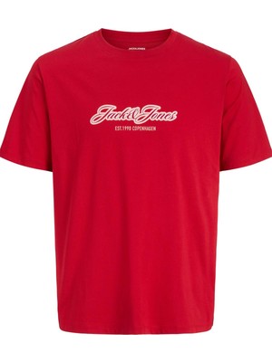 Jack & Jones Erkek Jorcatskılls Ballon Tee Ss Cn Fst Balon Kesim Tişört