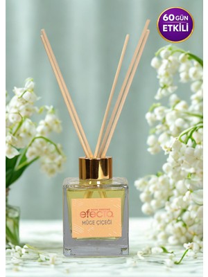 Efecto Proffesıonal Home Fragnance Bambu Çubuklu Oda Parfümü ( Müge Çiçeği Bambu Kokusu) 100 ml