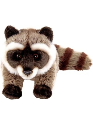 Storemax Animals Of The World Floppy Rakun Peluş Oyuncak, 30CM