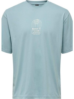 Only & Sons Erkek Onsmalık Lıfe Rlx Ss Tee Tr Relax Fit Kısa Kollu Tişört