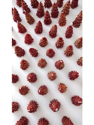 Storemax Doğal Petek Mum Kırmızı Altın Simli Çam Ağacı Boy 8.5 cm Bal Mumu Beeswax Candle