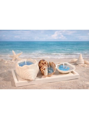 Triple Seashell-El Yapımı Deniz Kabuğu Tasarımlı Dekoratif Mum – Okyanus Serisi