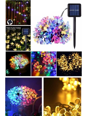 Munico Rengarenk 30’lu Papatya LED Bahçe Lambası Güneş Enerjili Su Geçirmez Dekoratif