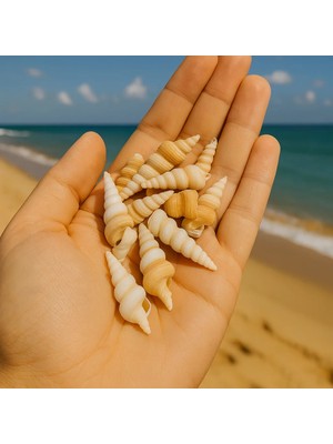 Poyrish Sivri Deniz Kabuğu Mum Süsleme Malzemesi 5 Adet (PY0560)