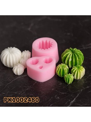 Poyrish PK1002480 - Silikon Kalıp Mum Kalıbı - Kaktüs 4'lü Set