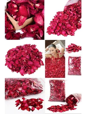 Munico Güzel 100GR Görünüm ve Bir Yaprakları Romantik Gül Kazanın Kalitesindeki Yorgunluğ  Için Ideal Seçim