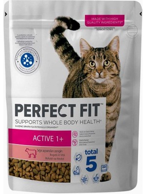 Delixa Perfect Fit Yetişkin Sığırlı Kuru Mama 750 G