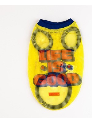 Delixa Pawstar Life Mesh Kedi Köpek Tişörtü - Kedi Köpek Kıyafeti Small