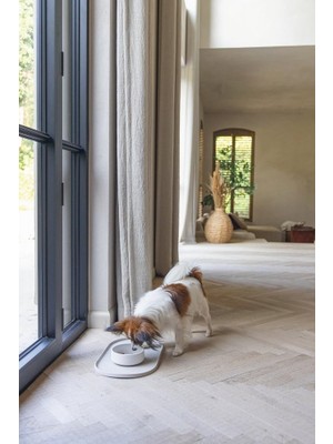 Delixa Köpek Mama Su Kabı, Bambu, Bej, 14CM, 410ML