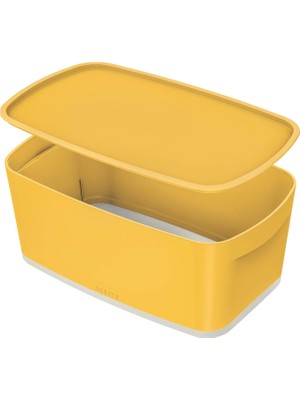 Delixa Leitz Cosy Mybox® Kapaklı Küçük Saklama (Tekli Ambalaj)
