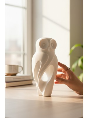 Pazarois Baykuş Figürlü Dekoratif Biblo