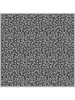 Belli Twill Ipek Eşarp 24-25 Kış 4042-35