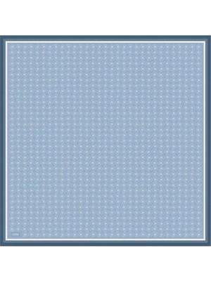 Belli Twill Ipek Eşarp 24-25 Kış 4058-03