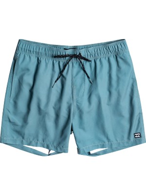 Billabong All Day Lb  Erkek Deniz Şortu EBYJV00104-BN4