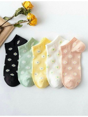 Çorap Kurdu 5'li Ekonomik Paket Papatya Desenli Kadın Kısa Patik Çorap Set