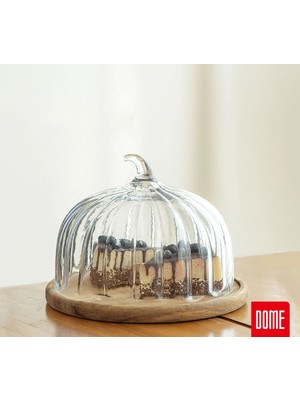 UltraMint Akasya ve Cam Bal Kabağı Kek Fanusu, Şık ve Dayanıklı Büyük Boy