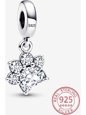 Poseidons Jewellery S925 Zirkon Taşlı Işıltılı Pati Izi Sallantılı Charm